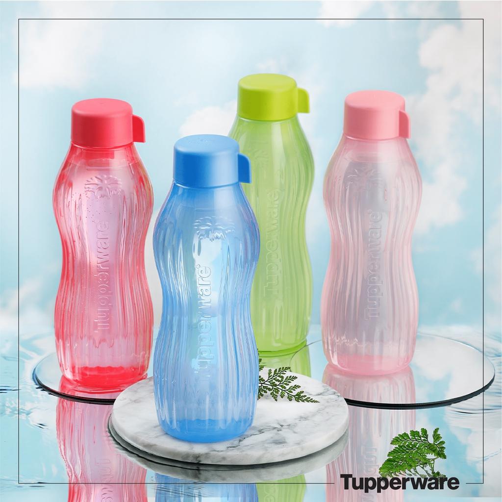 Bình nước Eco Bottle Freezerable 880ml - Tupperware Hàng Chính Hãng