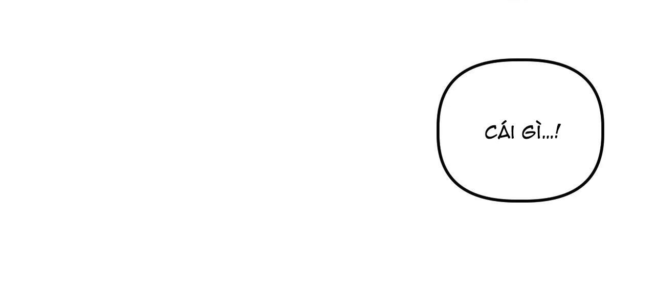 đã hiểu chưa chapter 13 39