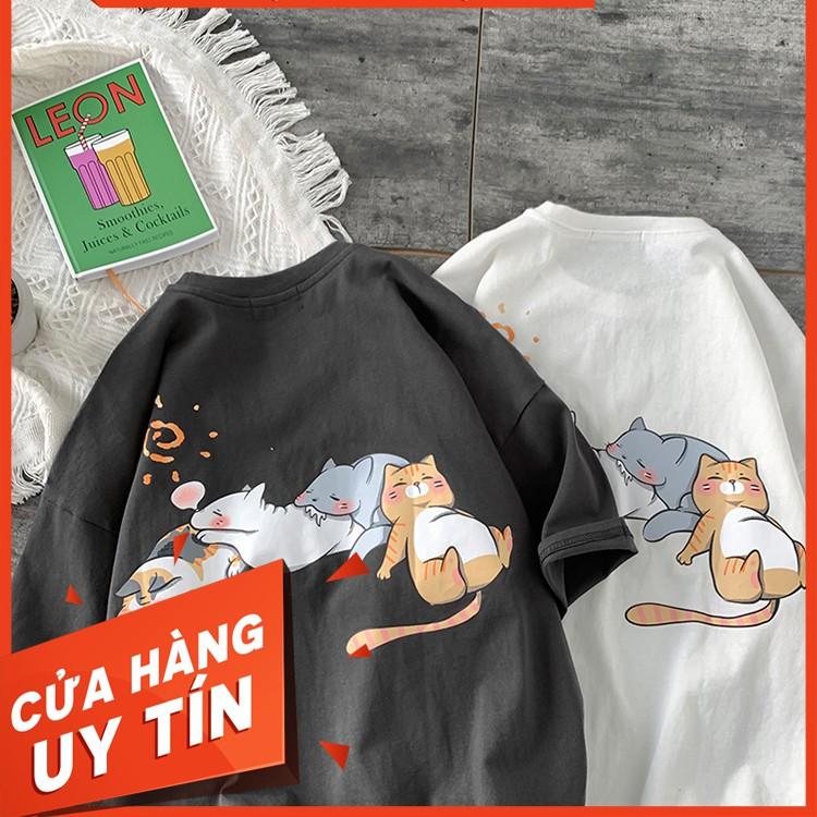 Áo thun tay lỡ 4 mèo ngủ