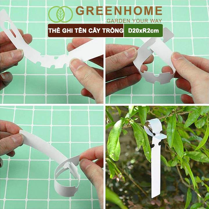 Bộ 10 Thẻ Ghi Tên Cây Greenhome, D20xR2cm, Chất Liệu Nhựa PVC, Dễ Lắp Đặt, Tái Sử Dụng, Đánh Dấu Cây Trồng, Hạt Giống Rau, Hoa