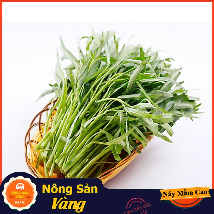 Hạt giống Rau Muốn Lá Tre ( Gói 50 Gram ) - Nông Sản Vàng