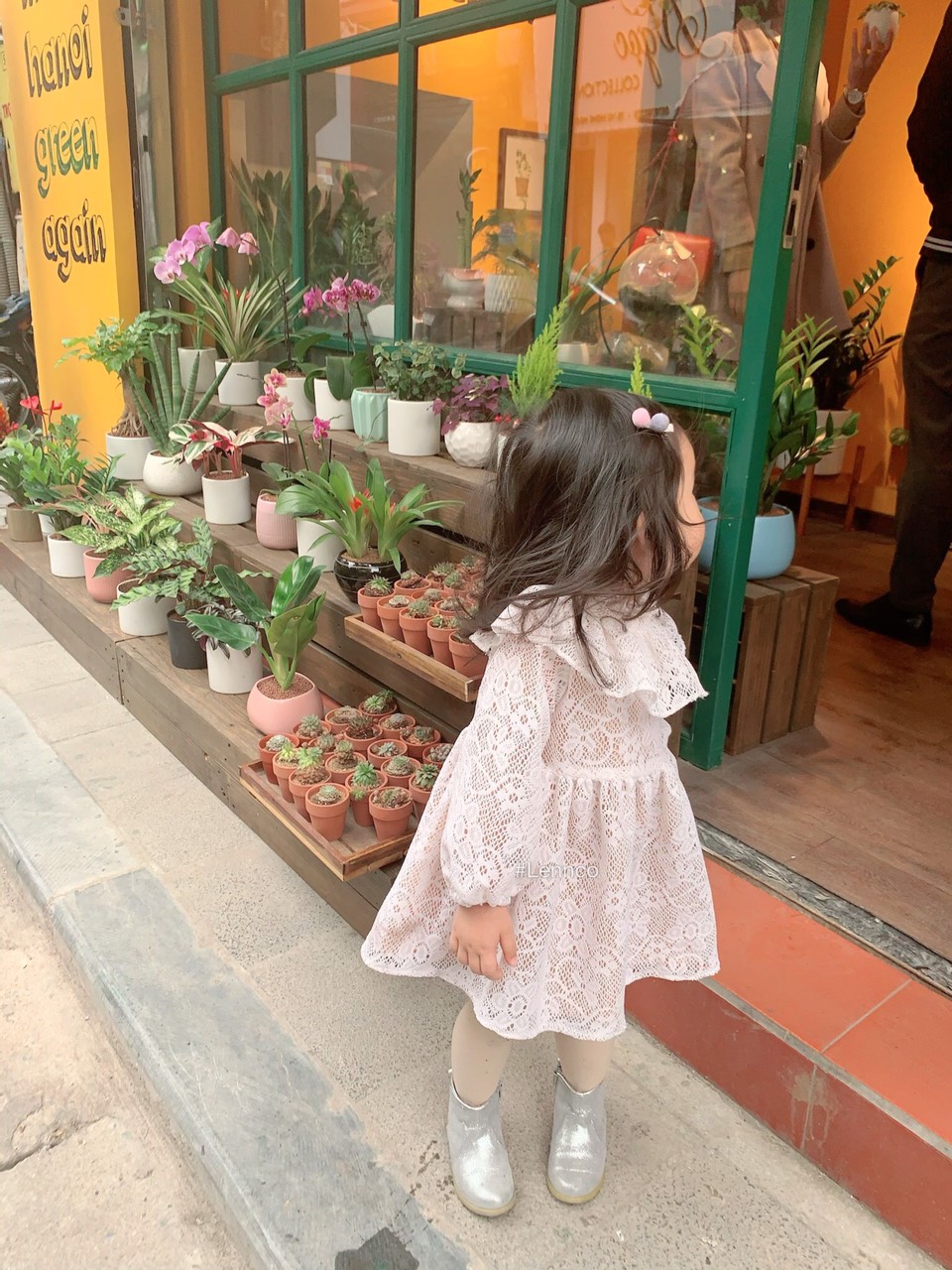 Váy ren cổ tiểu thư Lennco