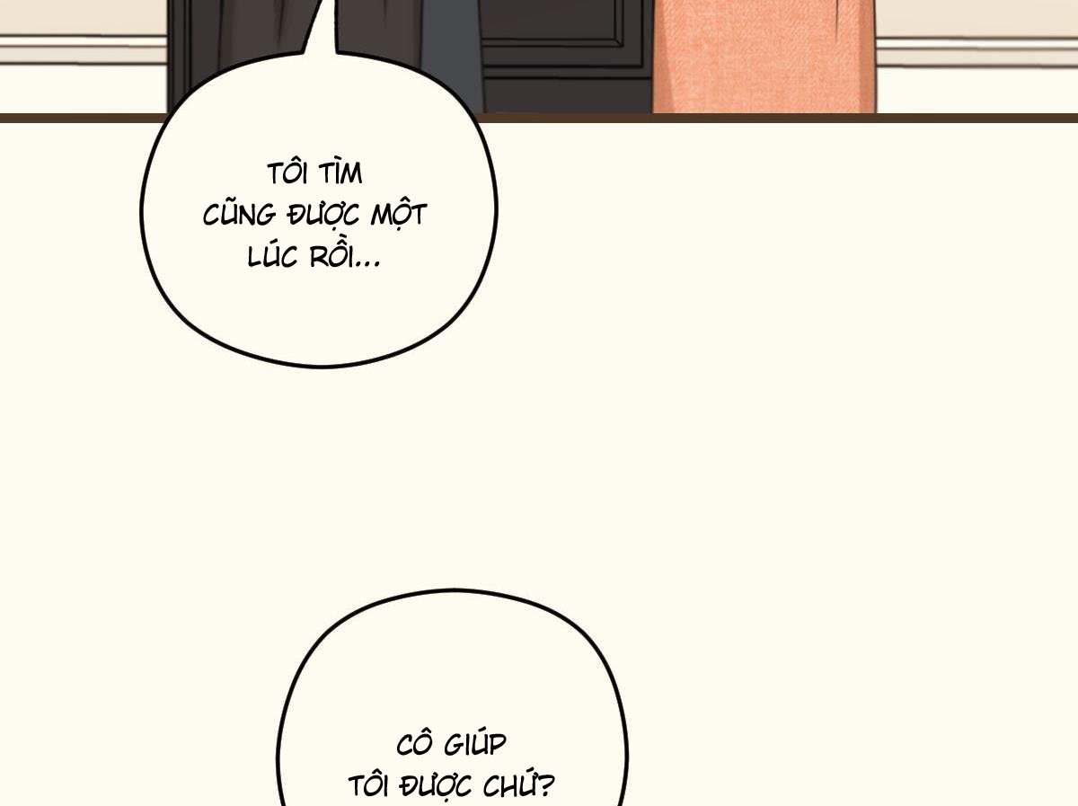 tương phùng chapter 37 156