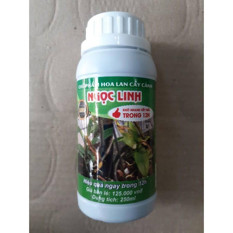 Chế Phẩm Ngọc Linh Chống Thối Nhũn Cho Hoa Lan, Hoa Hồng, Cây Cảnh. Hiệu Quả Sau 12h
