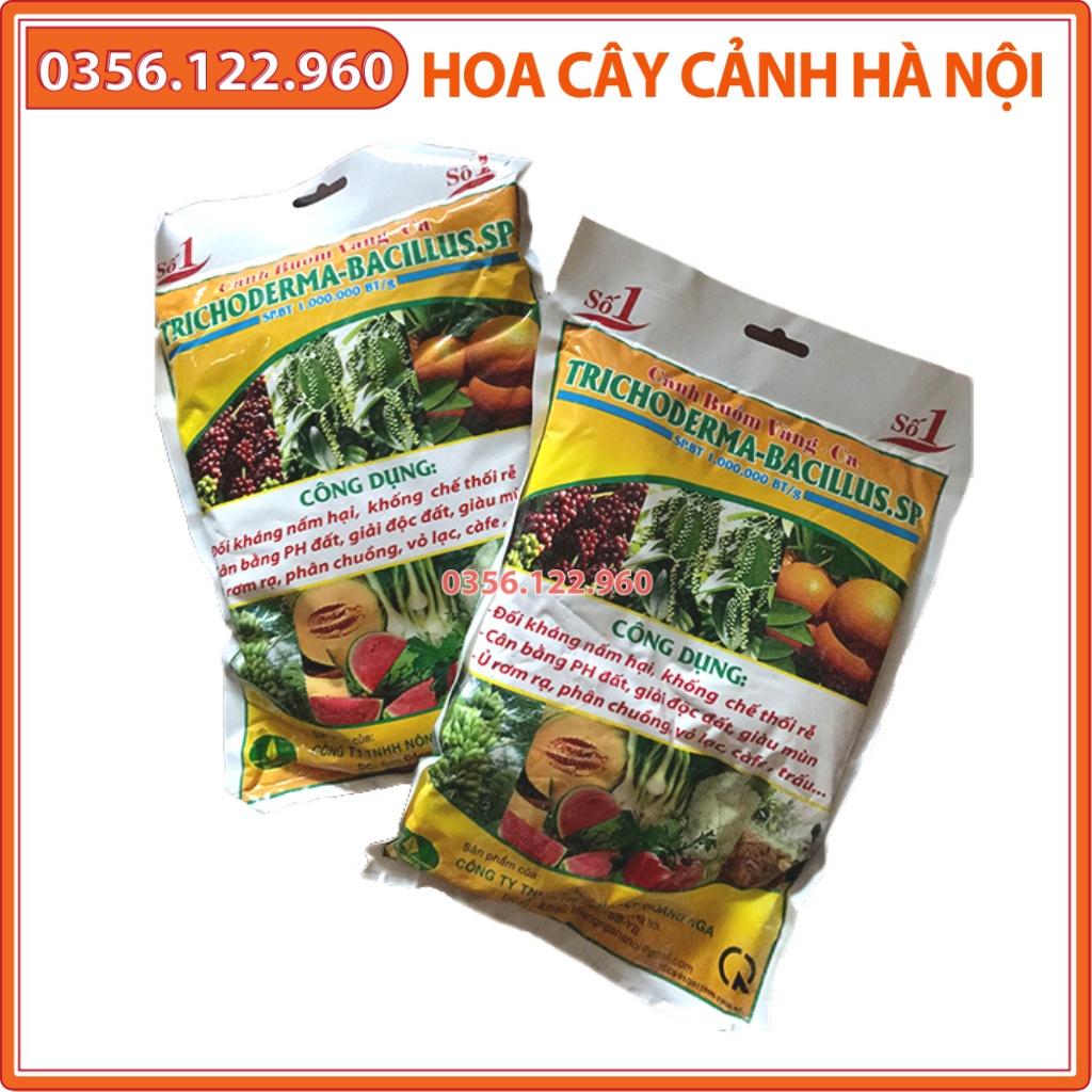 2 gói Chế phẩm sinh học Trichoderma - túi 1kg - chuyên ủ phân chuồng, phân hữu cơ, hạn chế nấm đất - Shop hoa cây c