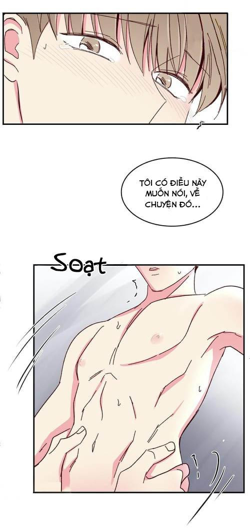 món tráng miệng của sếp tổng chapter 47 47