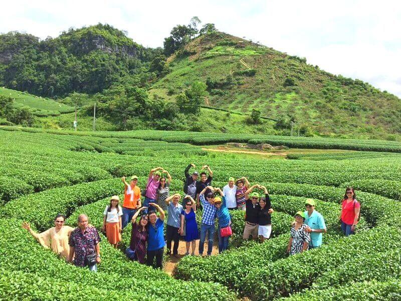 Tour Mộc Châu - Mai Châu - Cầu kính Bạch Long 2 ngày 1 đêm, Khởi hành thứ 7