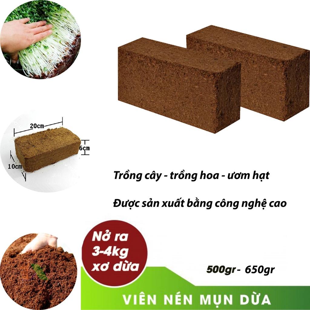 Đất trồng cây hữu cơ giàu chất dinh dưỡng viên nén sơ dừa cải tạo đất tơi xốp, làm giá thể hoa cây cảnh rau củ quả