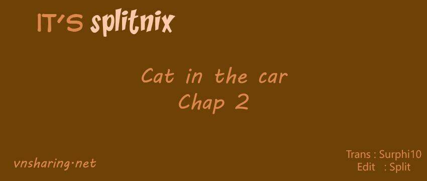cat in the car chapter 2 1