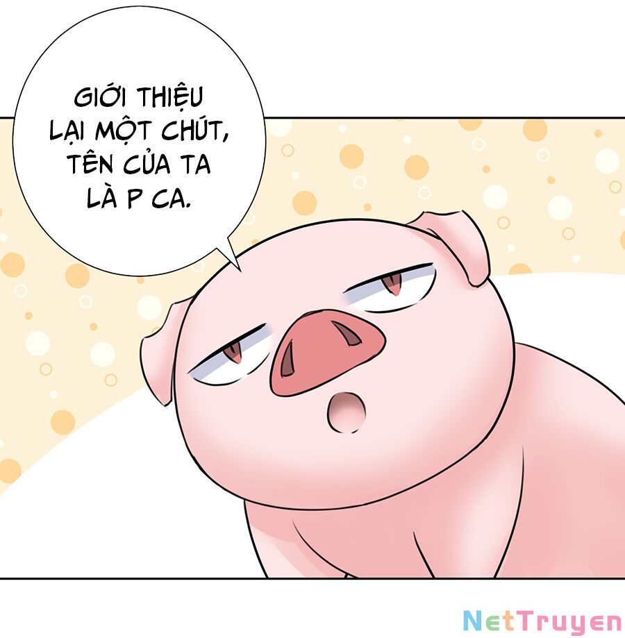 bản giáo chủ thân bất do kỷ chapter 35 47