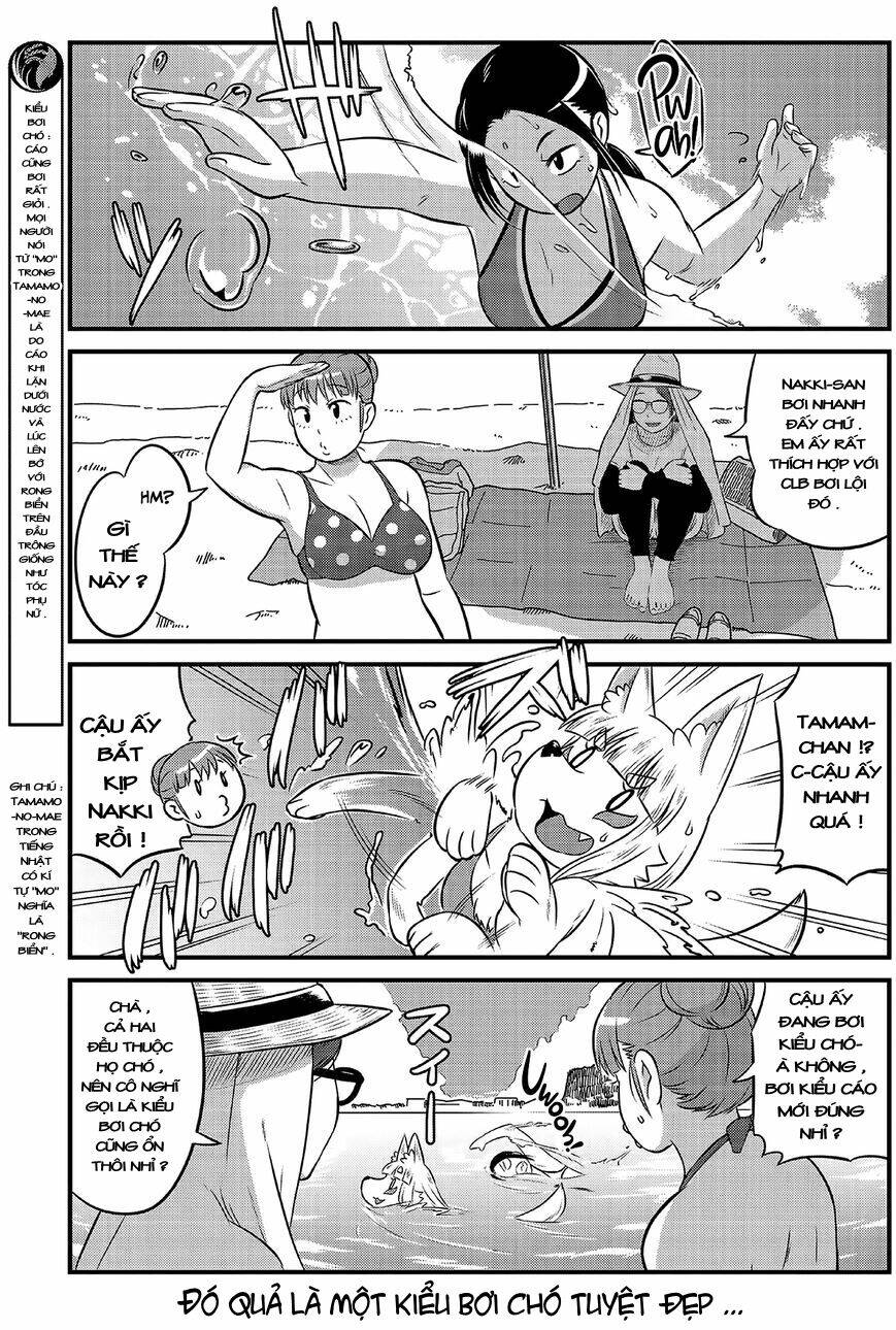 high school inari tamamo-chan ! chapter 14 6