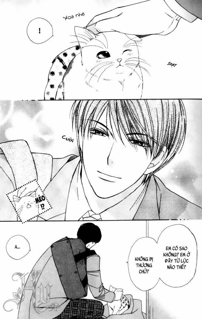 neko neko honey chapter 1 12