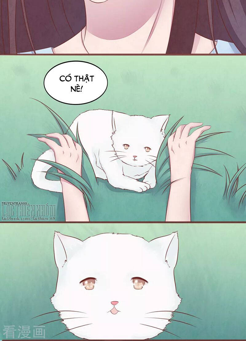 đào tạo nuôi dưỡng bạn trai mèo chapter 56 4