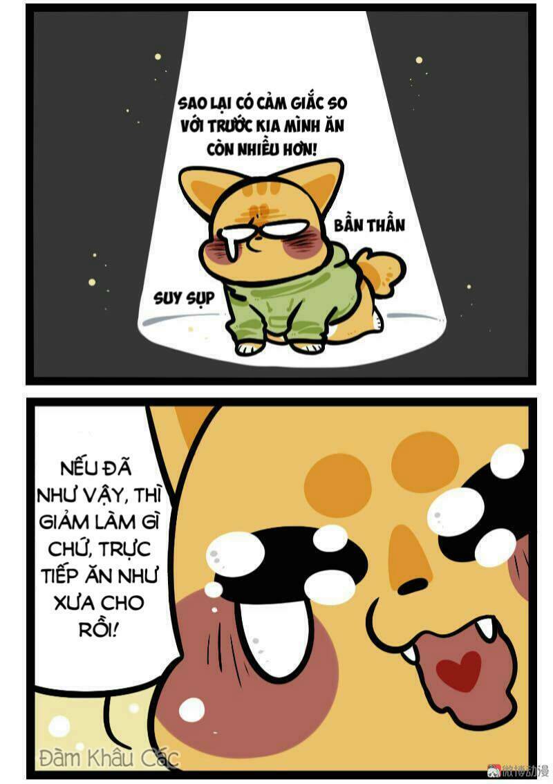 đời không như mình tưởng chapter 61 7