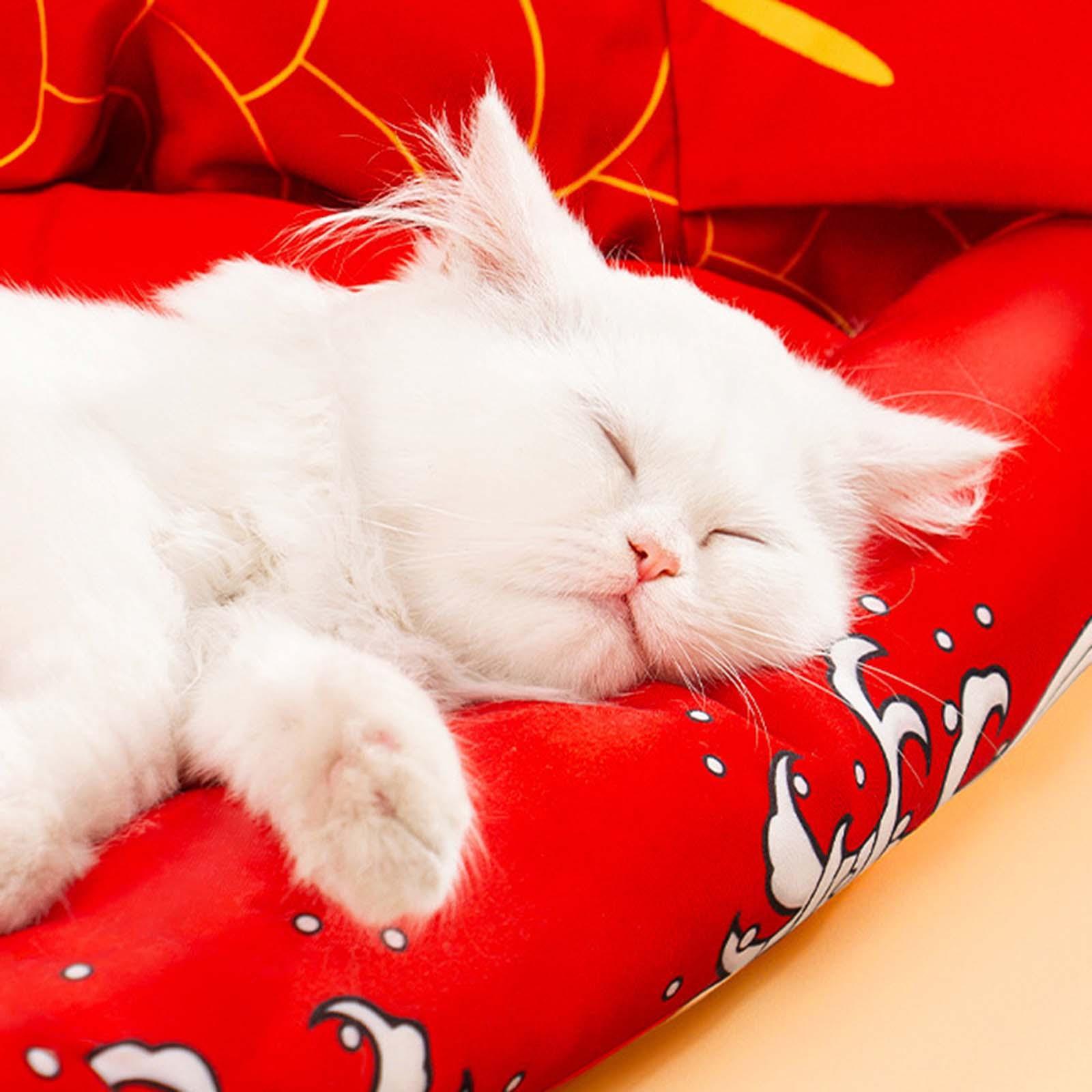 Cat Tunnel Pet Washable Cushion Mat Interactive Toy for Mice Guinea Red