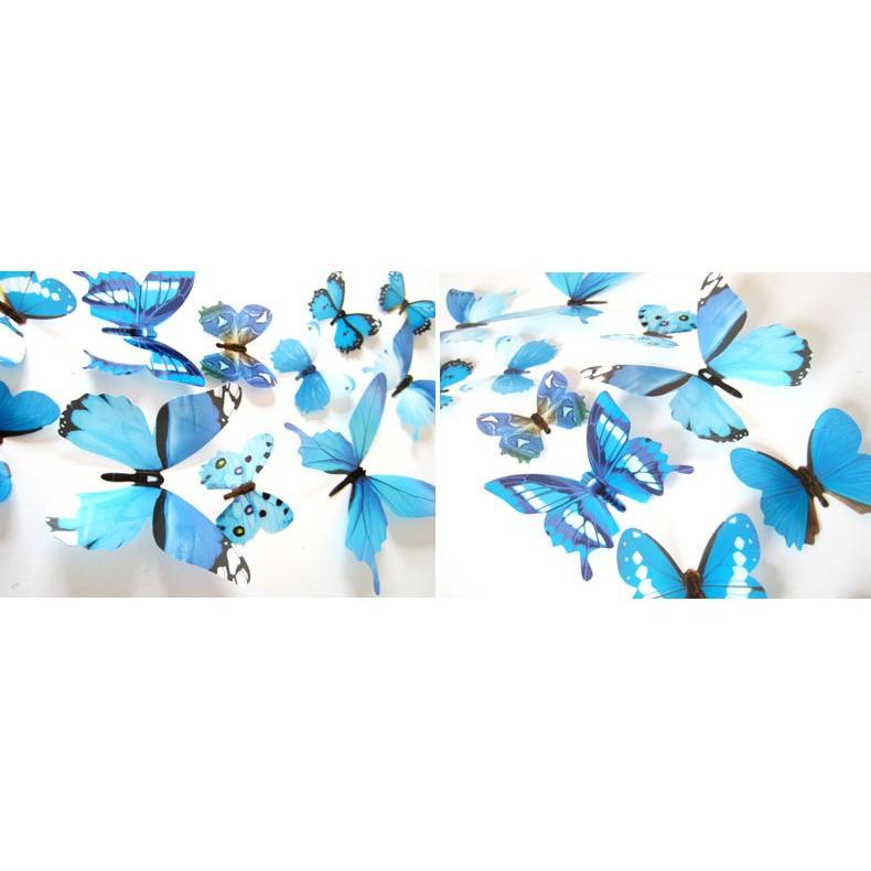 Decal dán tường Bướm 3D