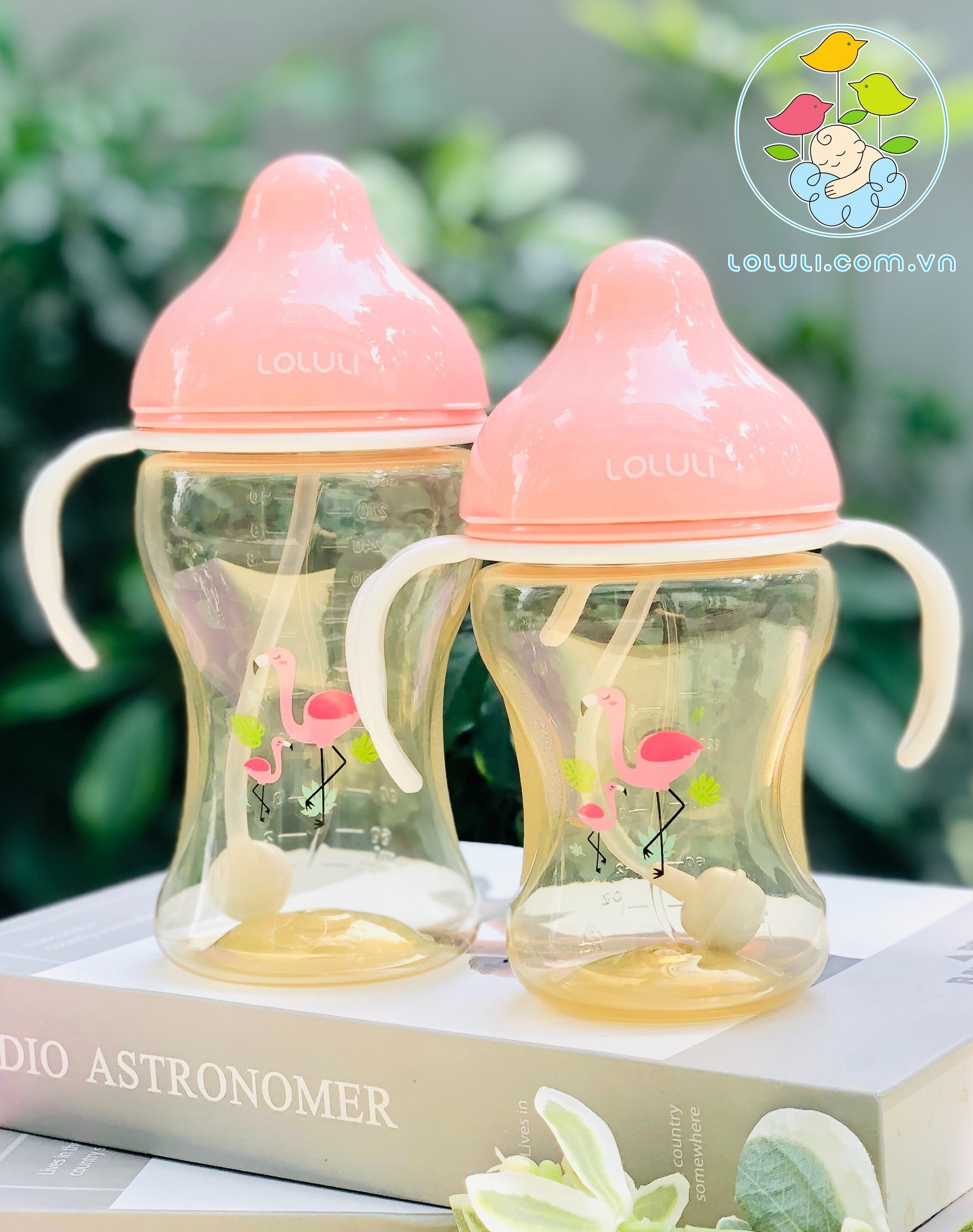 Bình Sữa Loluli PP Cổ Rộng Chống Sặc Cho Bé Chính Hãng - 300ml