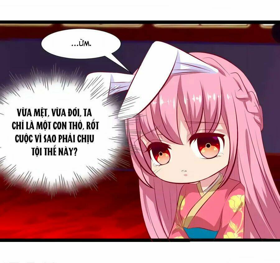 thỏ yêu tiểu vương phi chapter 68 25