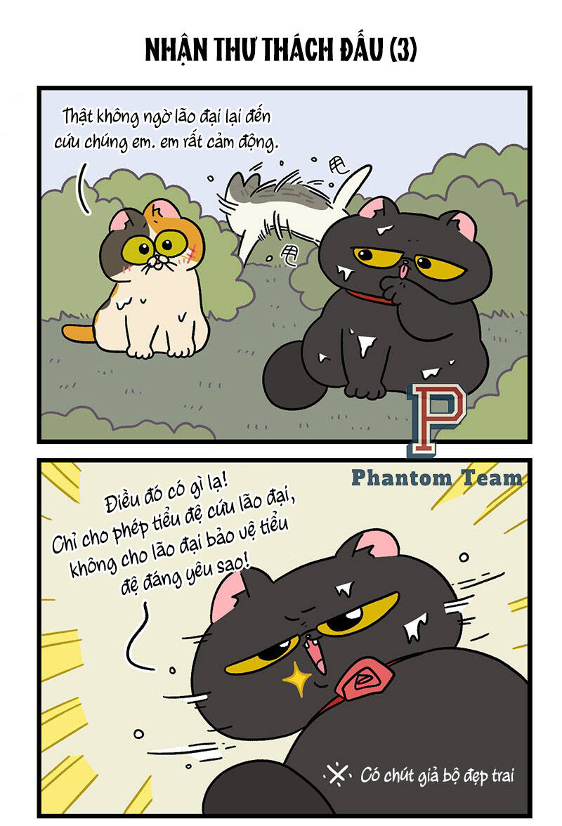 a mãn và mạch trà chapter 41 5