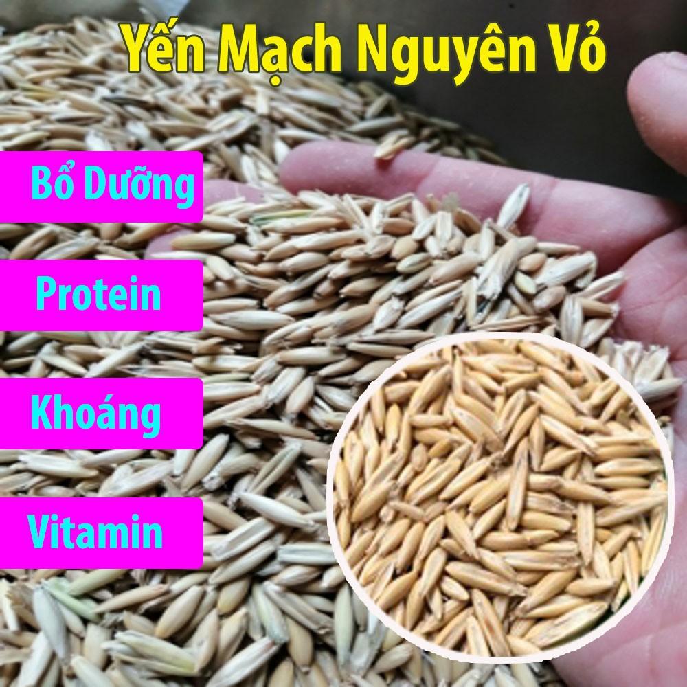 Túi 500 gr yến mạch nguyên vỏ