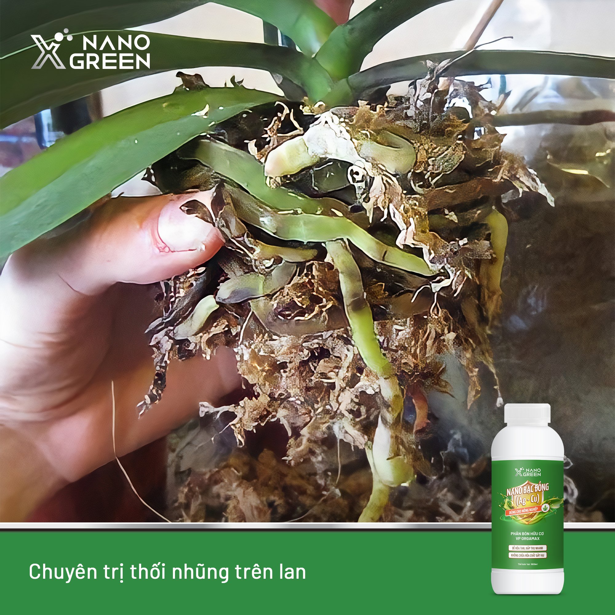 NANO BẠC ĐỒNG (Ag-Cu) PHÂN BÓN NANO XGREEN NÔNG NGHIỆP 1000ML HẠN CHẾ NẤM, KHUẨN, BỆNH VÀNG LÁ, THỐI RỄ, XÌ MỦ THÂN-AHT CORP