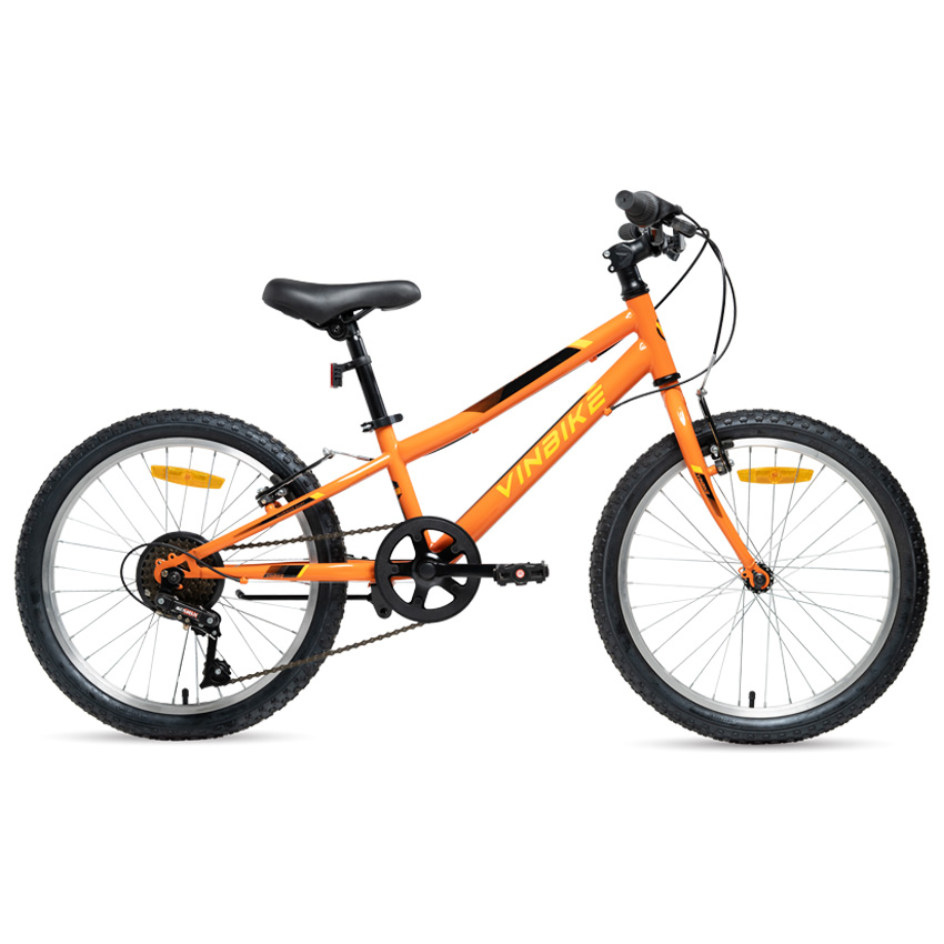 Xe Đạp Trẻ Em Youth VINBIKE Hola 20 – Bánh 20 Inches