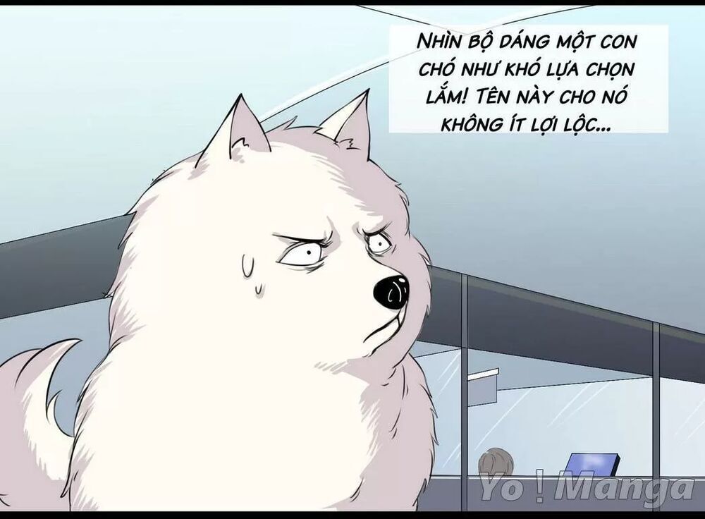 một con chó chapter 53 4