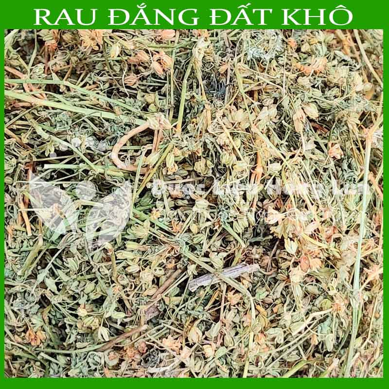 Cây Rau Đắng Đất khô sạch đóng gói 500gram