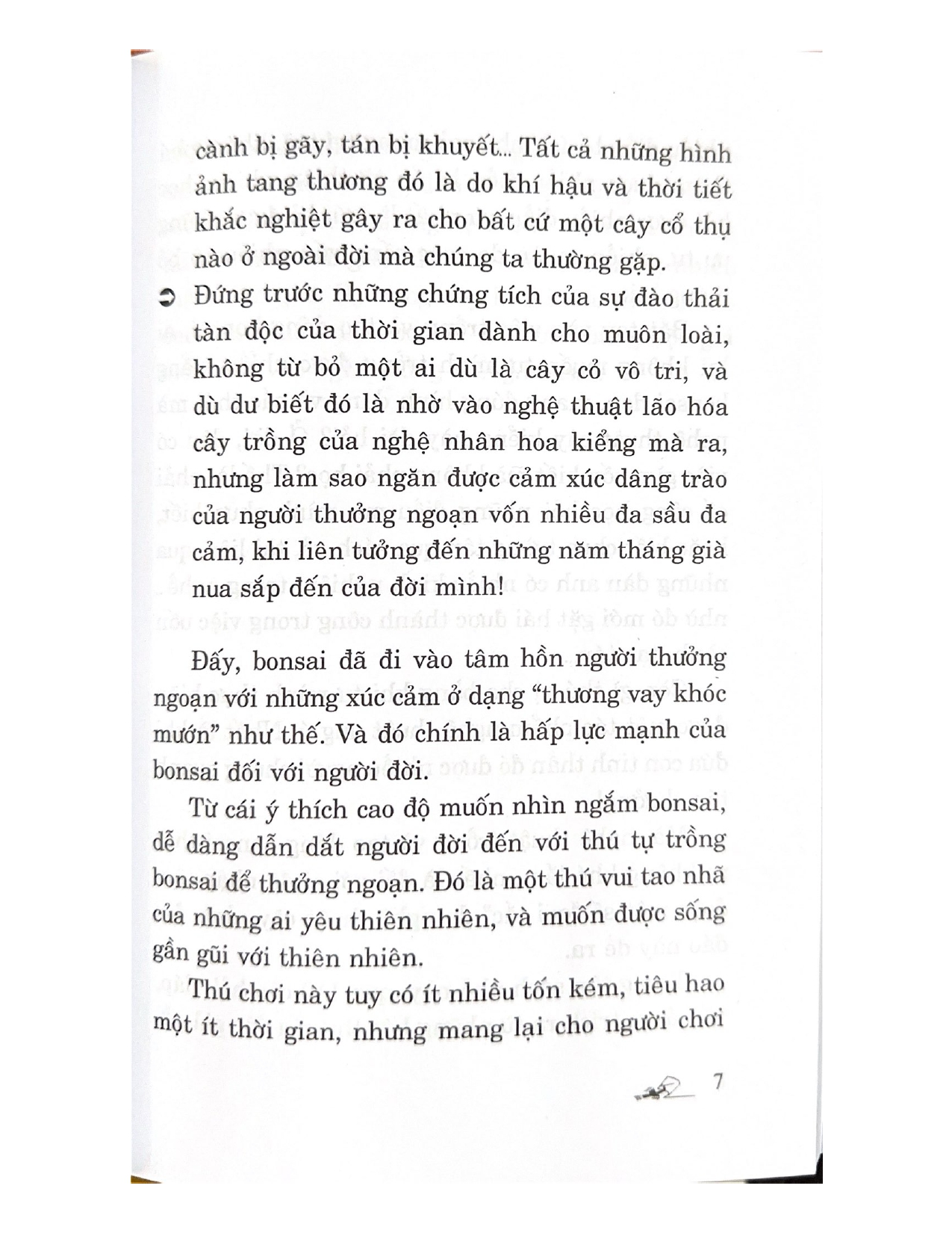 110 Câu Hỏi Đáp Chăm Sóc Và Tạo Dáng Bon Sai (Tái Bản) - Vanlangbooks