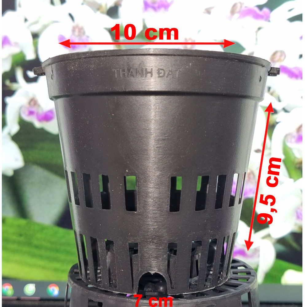 Chậu Nhựa đen Trồng Lan phi 11 Bền, Dẻo, có khe Treo chậu-77310