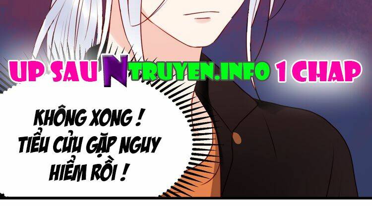 lượm được 1 tiểu hồ ly chapter 37 44
