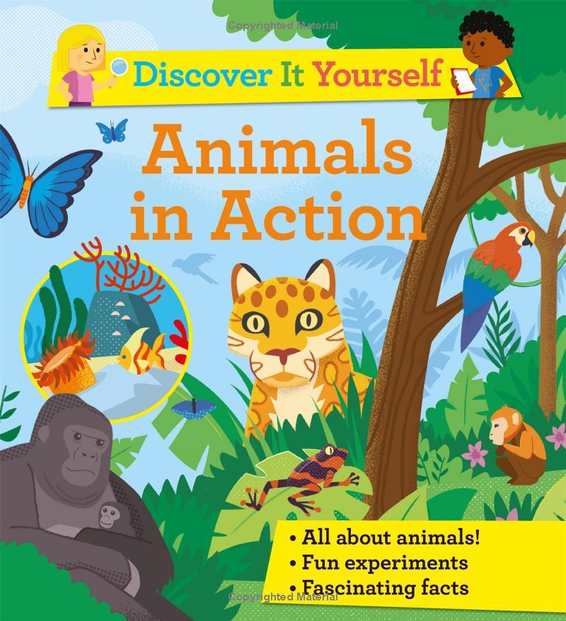 Sách ngoại văn: Discover It Yourself - Animals In Action