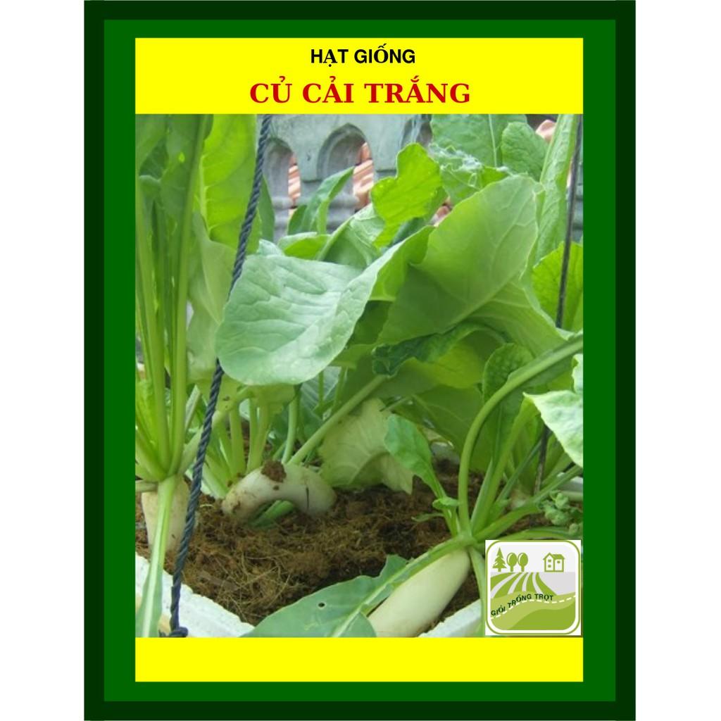 Hạt Giống Củ Cải Trắng 50 Gram