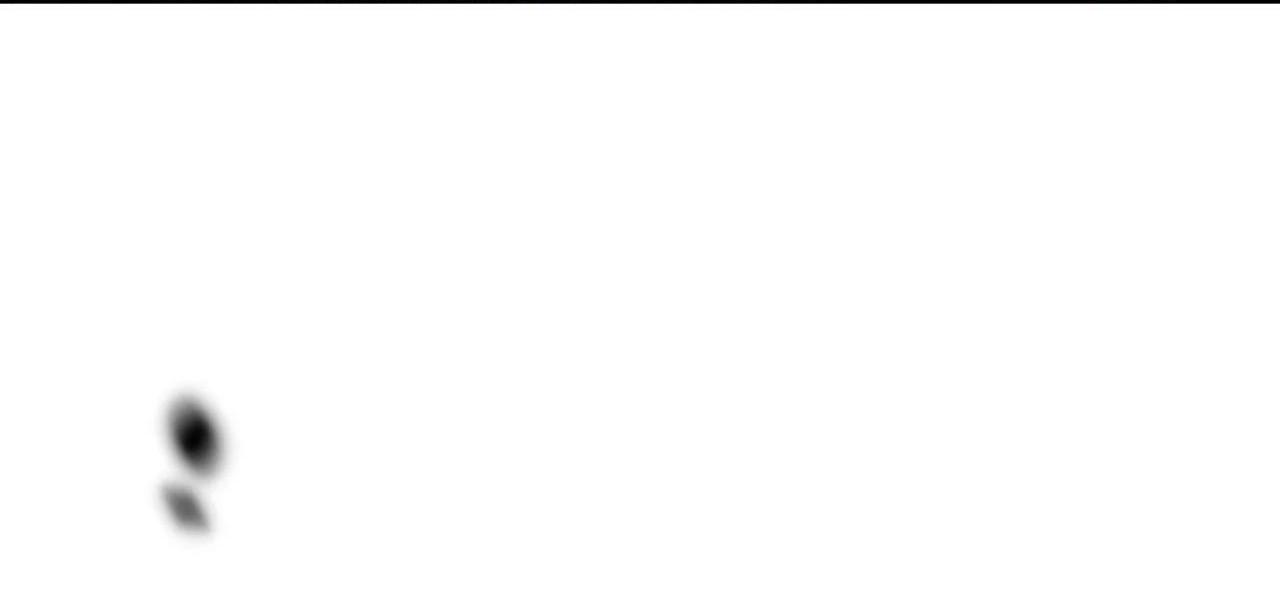 đã hiểu chưa chapter 17 13