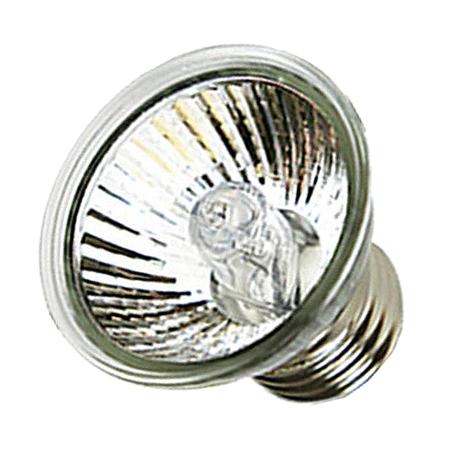 Reptile Heating Light Lamp Holder with Clip Lamp Stand /UVB Lights