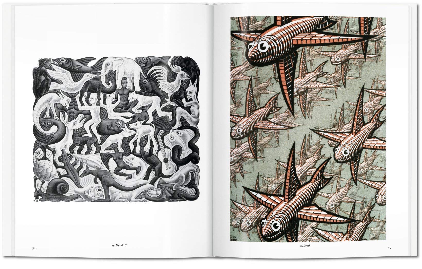 Sách Ngoại Văn: M.C. Escher: The Graphic Work