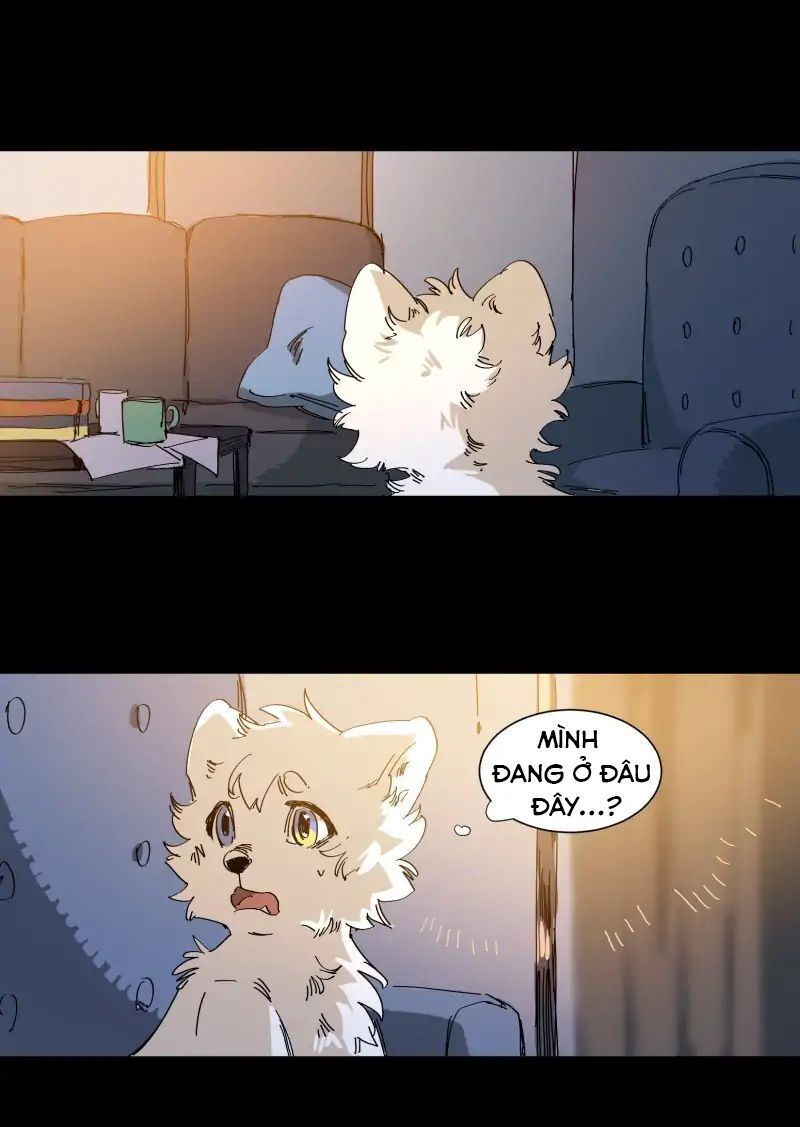 lumine - cội nguồn ánh sáng chapter 63 15