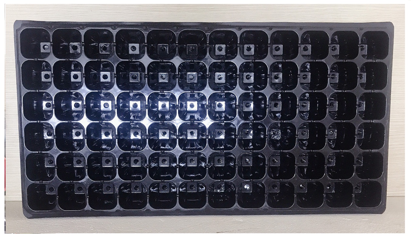 50 Khay Nhựa PVC 72 Lỗ Ươm Cây Tiện Lợi, Dễ Sử Dụng, Tích Kiệm Diện Tích
