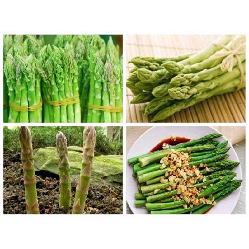 Hạt Giống Măng Tây Mỹ - 0.5gr/gói