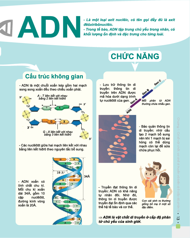 Đột phá 8+ môn Sinh học (phiên bản 2020)