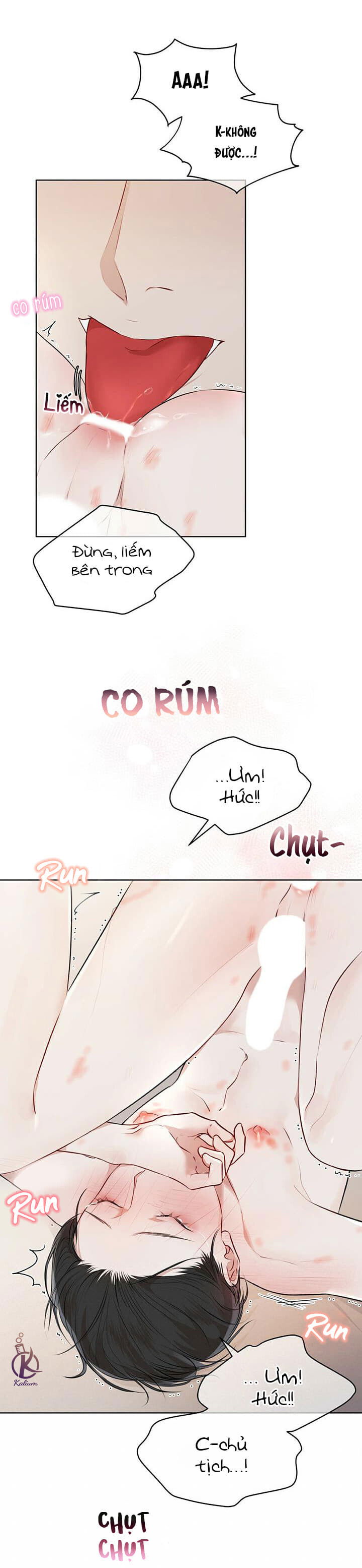 hình thái khởi sinh chapter 29 11