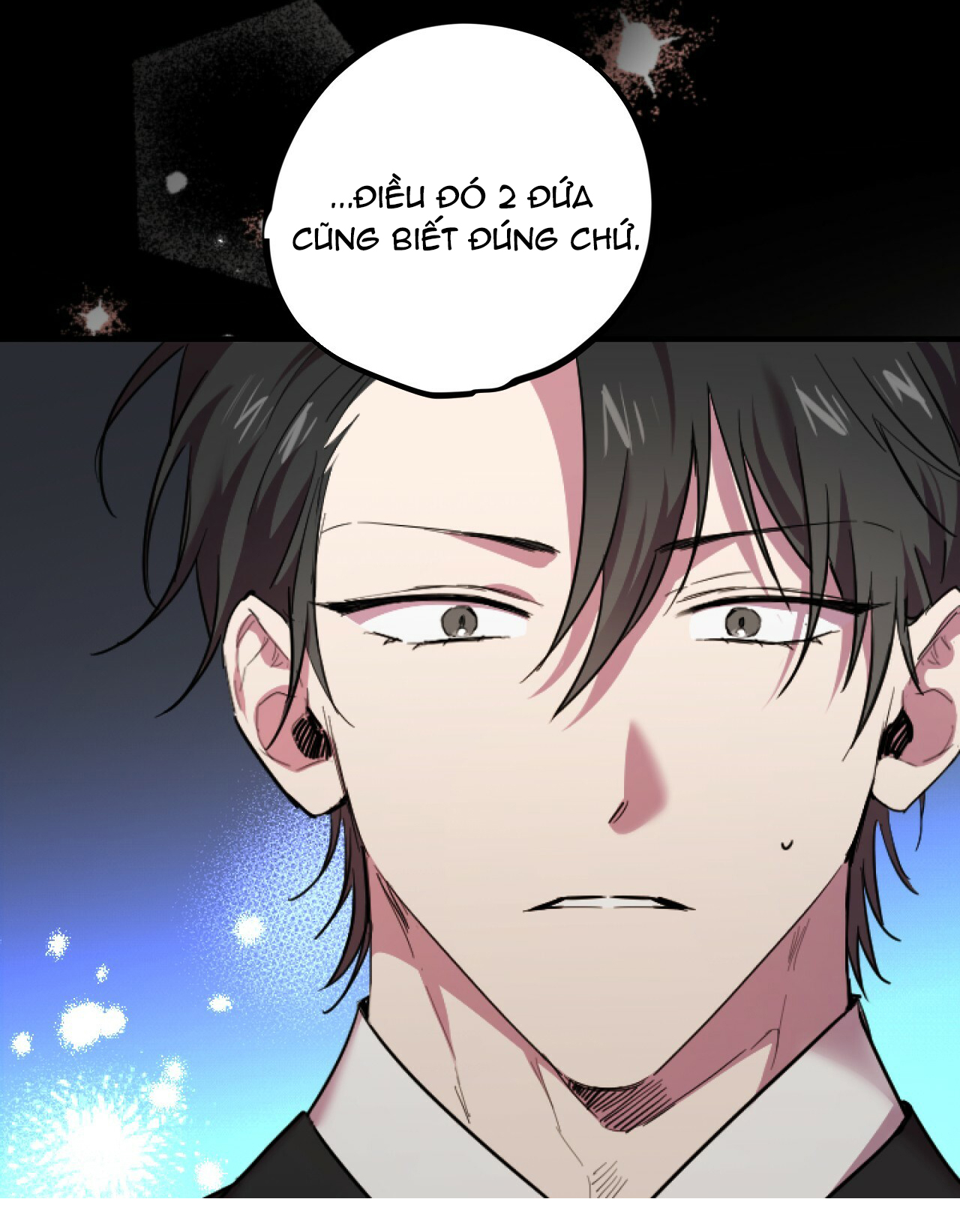 những chú thỏ của hapypy chapter 1 144