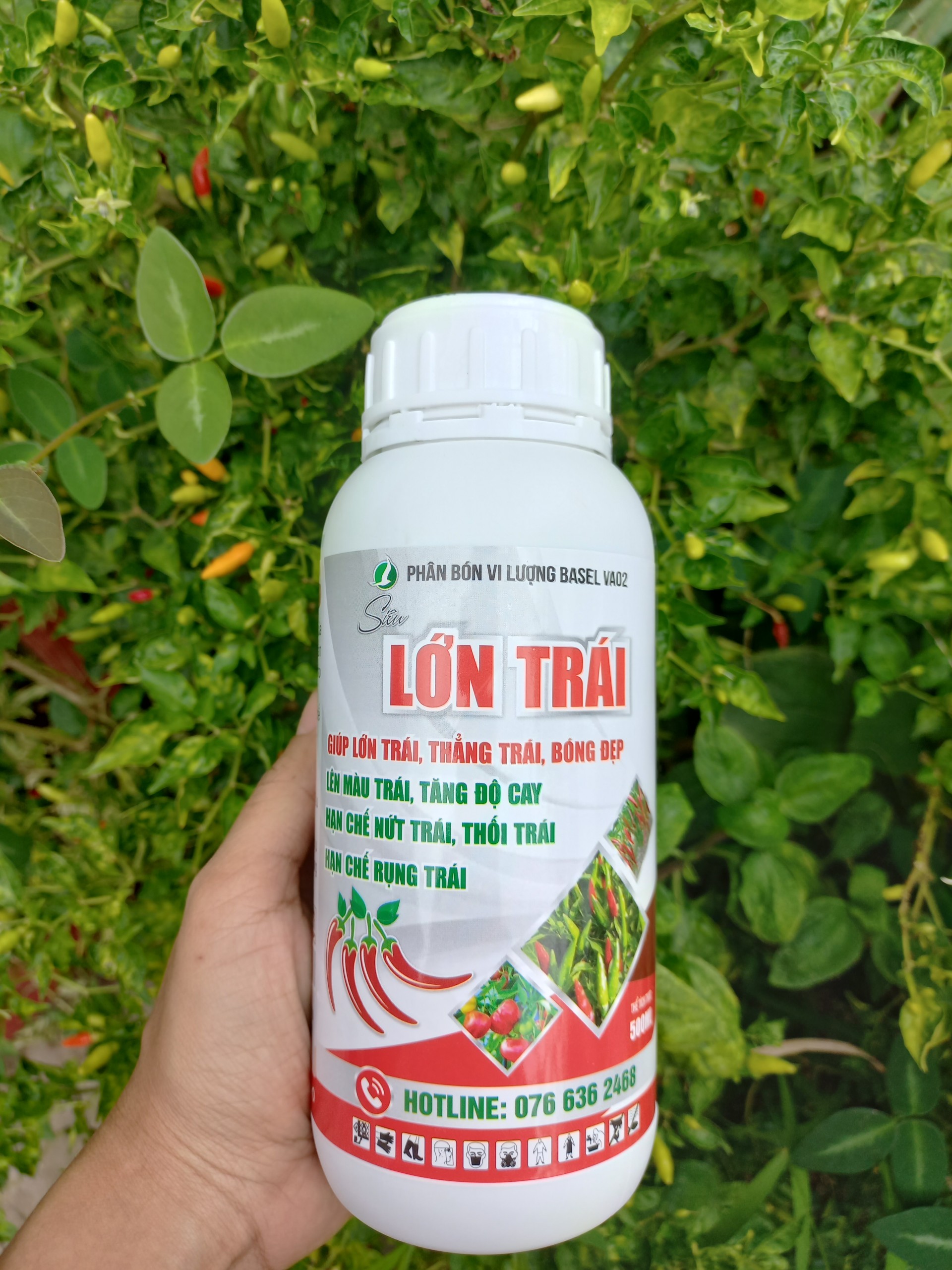 PHÂN BÓN LỚN TRÁI ỚT - GIÚP TRÁI LỚN NHANH, TĂNG ĐỘ CAY, HẠN CHẾ THỐI TRÁI CHAI 500ML