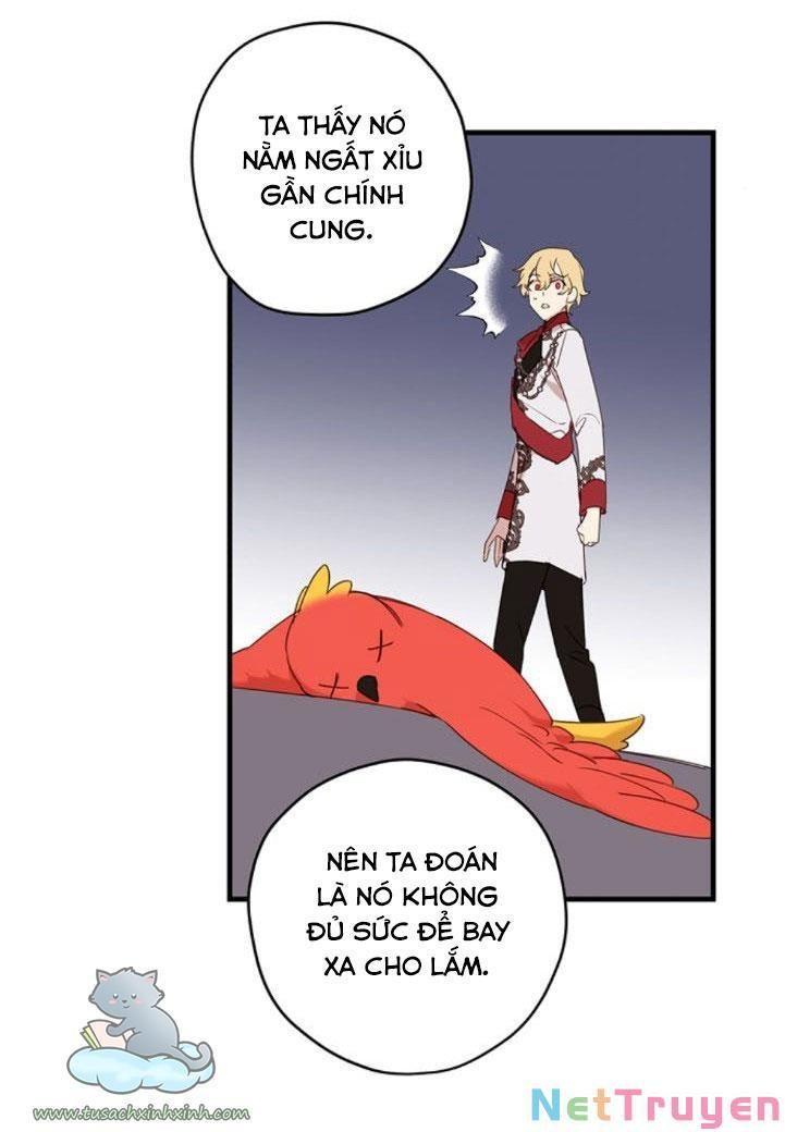 xin hãy cứ khóc, thái tử chapter 10 7