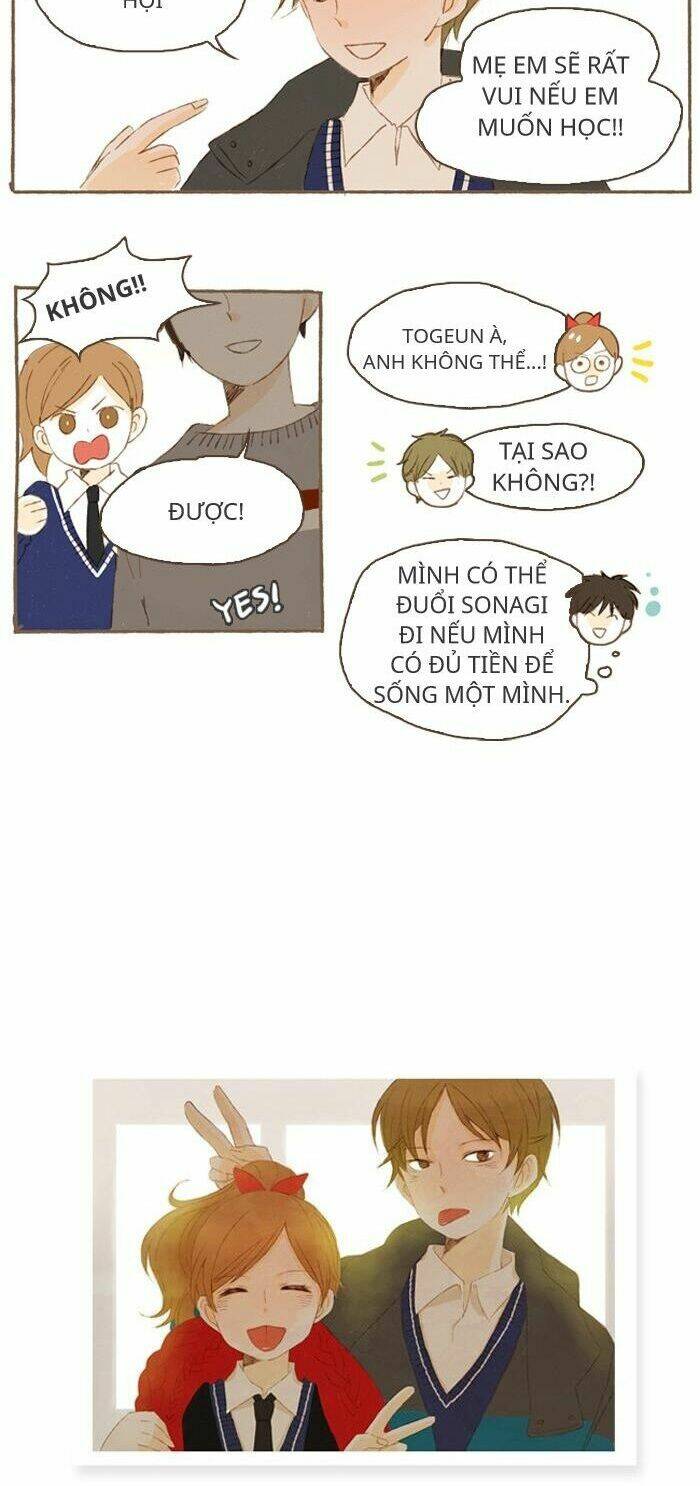 giấc mơ họa sĩ chapter 11 14