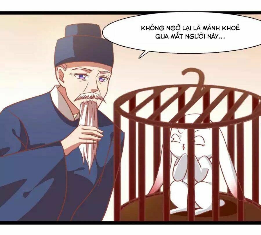 thỏ yêu tiểu vương phi chapter 41 21