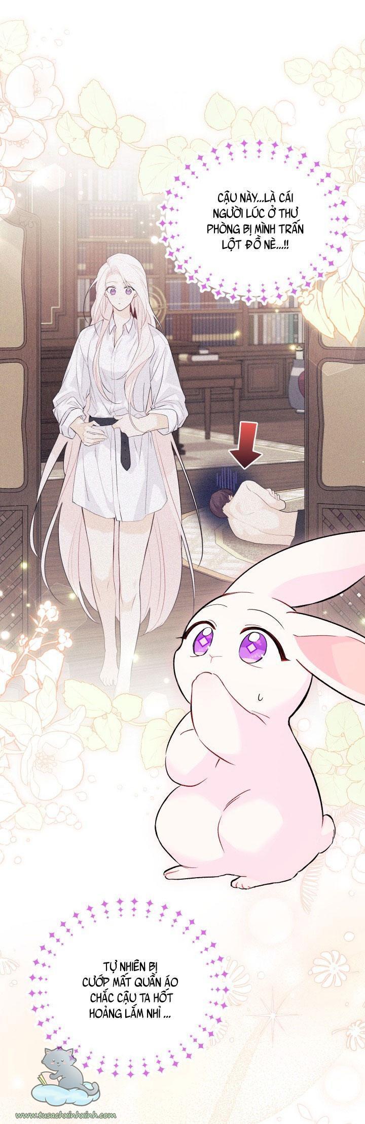 quan hệ cộng sinh giữa báo đen và thỏ trắng chapter 55 16