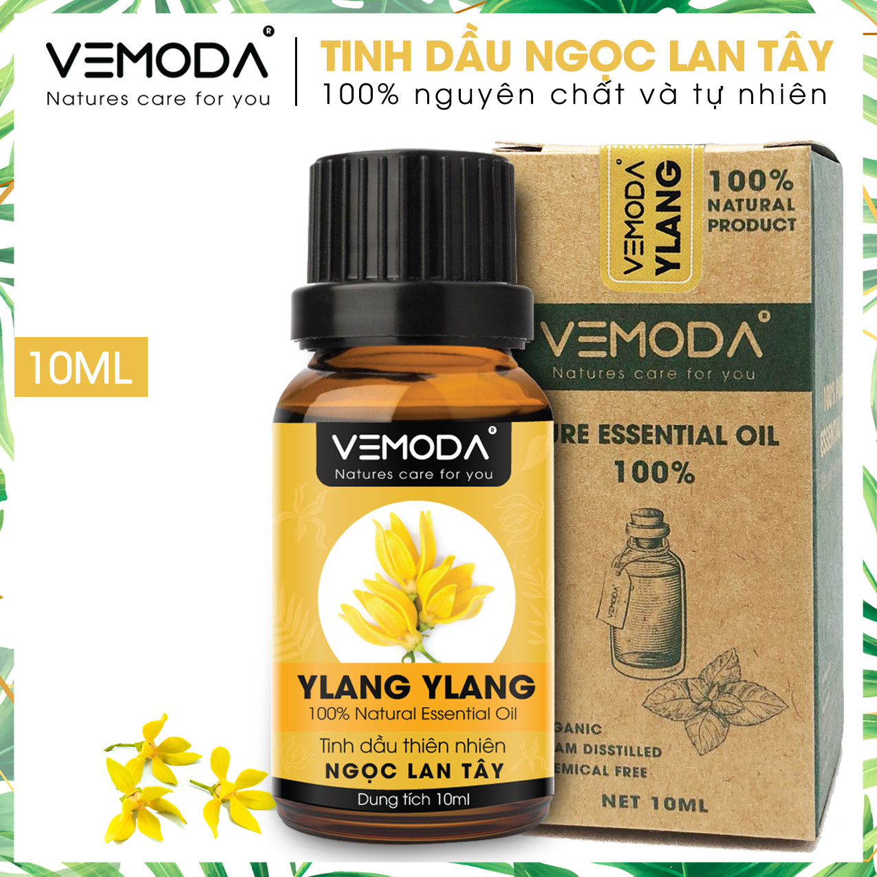 Tinh dầu Ngọc lan tây cao cấp. Ylang ylang Essential Oil. Tinh dầu xông phòng giúp thư giãn, chống trầm cảm, khử mùi, khử khuẩn, chăm sóc da. Tinh dầu thơm phòng cao cấp Vemoda