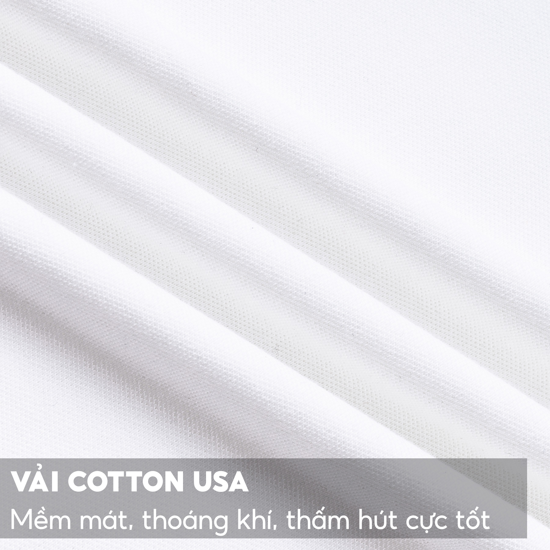 Áo Polo Nam  5S INSTAL, Chất Liệu Cotton USA Mềm Mịn, Co Giãn, Thấm Hút, Dễ Chịu, Thiết Kế In Trẻ Trung (APC23037)