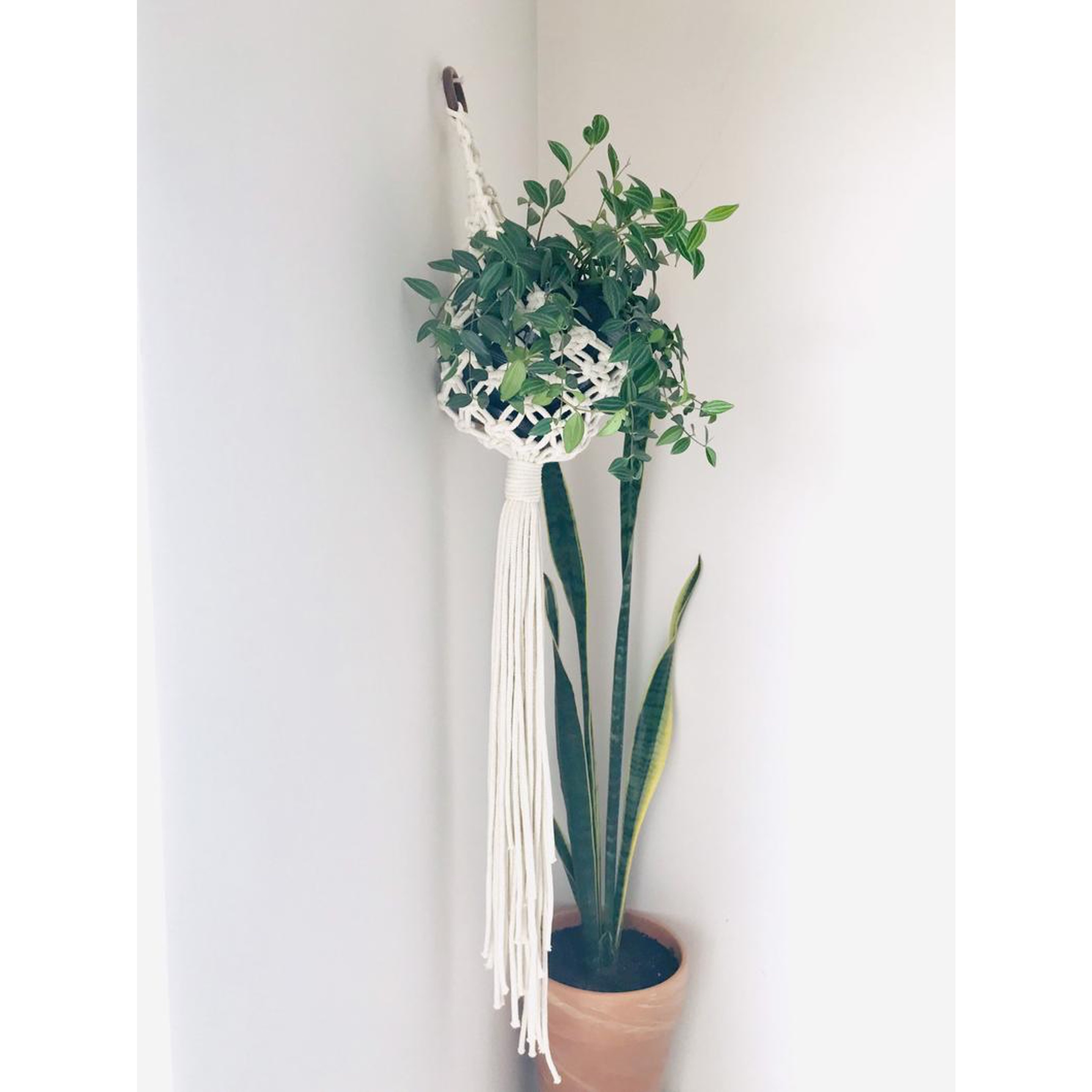 Giỏ Macrame treo chậu cây cảnh,  trang trí treo tường kết hợp vòng gỗ nâu. Phong cách Boho. GTT17321